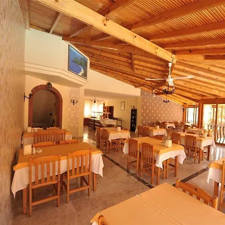 度假村 贝尔塞汉海滩酒店 3*